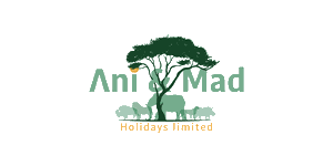 Ani and Mad Holidays Logo