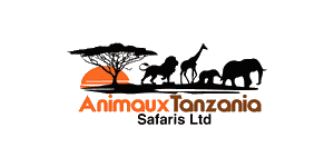 Animaux Tanzania Safaris Animaux Tanzania Safaris
