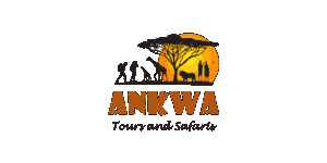 Ankwa Tours and Safaris Logo