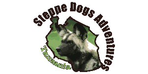 Steppe Dogs Adventures  Ltd