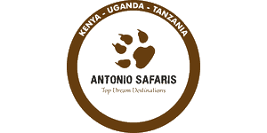 Antonio Safaris logo