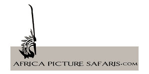 Africa Picture Safaris Logo