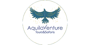 Aquila Venture Tours and Safaris  logo