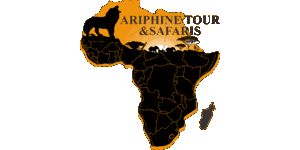 Ariphine Tour and Safaris Logo