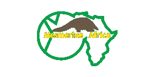 Mesmerize Africa