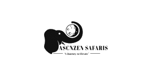 Ascnzen Safaris Logo
