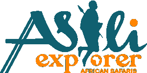 Asili Explorer Safaris Logo