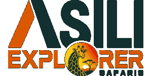 Asili Explorer Safaris Logo