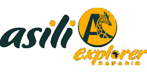 Asili Explorer Safaris Logo
