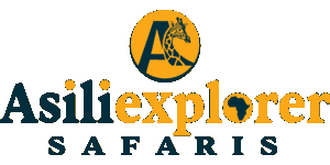 Asili Explorer Safaris