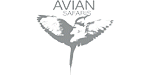 Avian Safaris