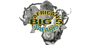 African Big 5 Safaris Tanzania