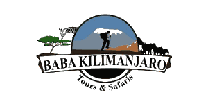Baba Kilimanjaro Tours and Safaris Logo