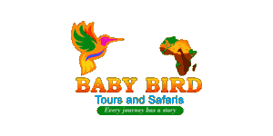 Baby Bird Tours and Safaris Logo