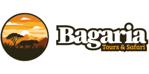 Bagaria Tours and Safaris Logo