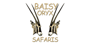Baisy Oryx Safaris