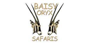 Baisy Oryx Safaris Logo