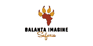 Balanta Imagine Safaris Logo