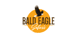 Bald Eagle Safaris Logo