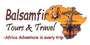Balsamfir Tours and Travel