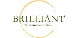 Brilliant Adventures and Safaris logo