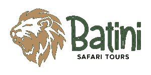 Batini Safari Tours Logo
