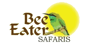 Bee Eater and Honey Guide Safaris 