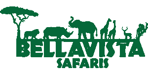 Bellavista Safaris logo