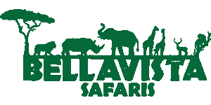 Bellavista Safaris