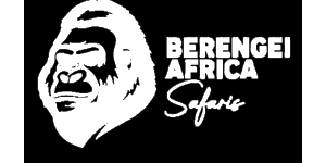 Berengei Tours Africa Logo
