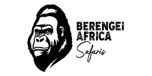 Berengei Tours Africa Logo