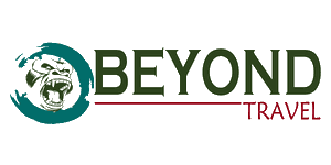 Beyond Travel Logo