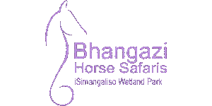 Bhangazi Horse Safaris Logo