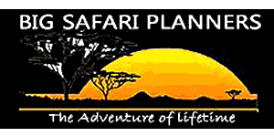 Big Safari Planners and Tours