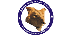 Big Kenya Tours & Safaris Big Kenya Tours & Safaris