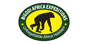 Bigodi Africa Expeditions Logo