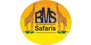BMS Safaris Logo
