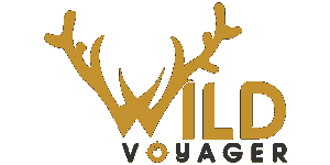 Wild Voyager  Logo