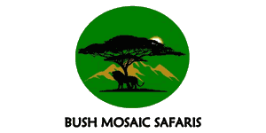 Bush Mosaic Safaris Logo