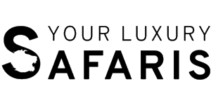 Your Luxury Safaris Logo