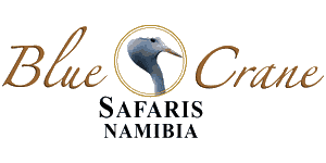 Blue Crane Safaris Namibia Logo