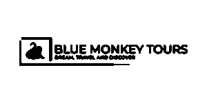 Blue Monkey Tours Logo