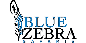 Blue Zebra Safaris Logo