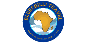 Blue Chilli Adventures Logo