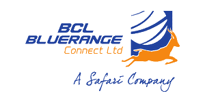 Bluerange Connect  logo