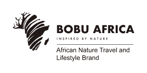 Bobu Africa  Logo