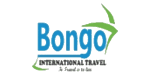 Bongo International Travel Company Logo