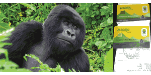 Gorilla Bookings
