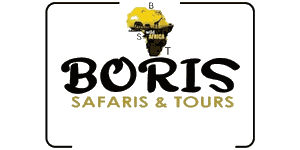 Boris Safaris and Tours logo