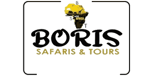 Boris Safaris and Tours Logo